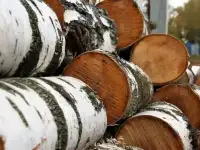 Дрова, тюльки, горбыль, опил