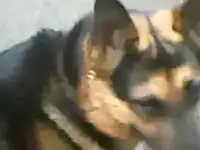 Вязка