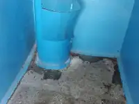 Дезинсекция насекомых тараканы, клопы, крысы, мыши., фотография 7