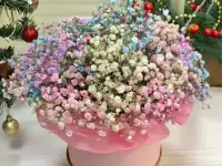Клубника в шоколаде Самара