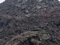 Торфогрунт несеяный 250ркуб.м.
