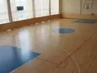 Хоккейные корты(комплекты). Искусственная трава. Спортивный паркет Спортивные покрытия. Спортивные площадки., фотография 5