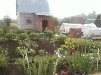 Продается участок с домом