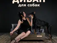 Диван для собак крупных пород 120х80 см Именной, Лежанка для собак и ко