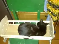Кроватка для куклы