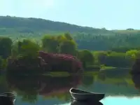 Садовник-агроном