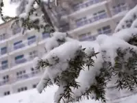 Новый год в Берсуте