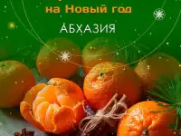Новый год 2025 в Абхазии