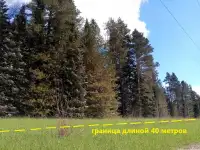 Участки для турбизнеса возле Телецкого озера на Алтае, фотография 9