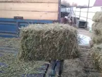 Сено в тюках