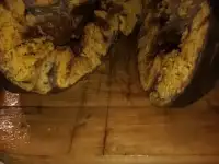 Вытяжка струи бобра