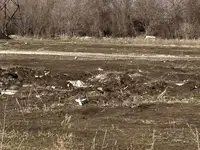 Продам земельный земельный участок