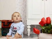 Сертификат на фотосъемку к Новому Году, фотография 8