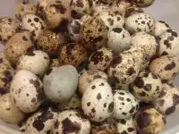 Яйцо перепелиное