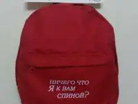Рюкзак-Контейнер-красн. (Спина) за 300р. Сделано в Петербурге.