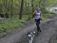Хаски