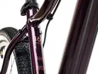 Велосипед Aspect Alma HD (2022), фотография 6