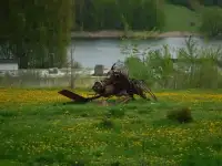 Тур Пенза - Тарханы - парк Легенда из Тольятти, фотография 5