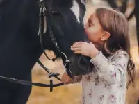 Обучение верховой езде, фотография 3