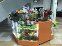 Магазин Искусственных Цветов № 1 Казань