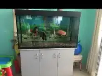 Продаю аквариум
