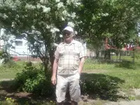 дача
