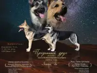 Породистые щенки Восточноевропейской овчарки