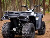 Квадроцикл Linhai M150