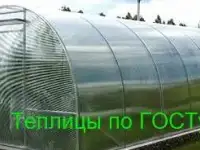 Теплица по госту Казань (доставка, сборка, гарантия), фотография 2