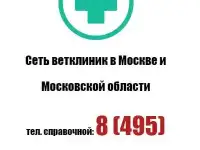 Ветклиника на дом 24 часа в Москве