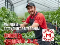 Требуются сотрудники для работы в теплицах!
