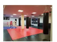 Мешок боксерский