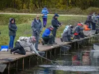 Усилитель платной рыбалки
