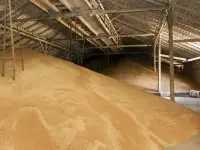 Строительство зернохранилищ