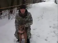 Ищу работу тракториста