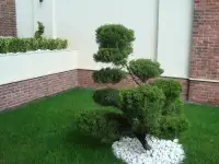 Требуются на работу
