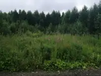 Земельный участок, Пск Северка, фотография 2