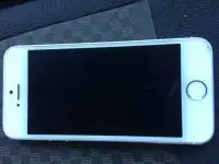 iPhone 5s 16 GB White
