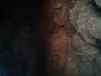 сено луговое
