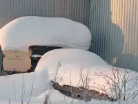 Продам ленточную пилораму