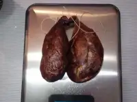 Бобровая струя