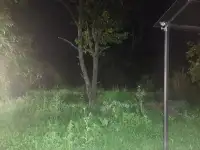 Тёплый бассейн с гостевым домом в г. Ессентуки, фотография 9