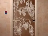 Дверь стеклянная 