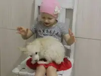 Нейя Красотка 2 месяца Щенки, фотография 4