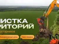 Спил деревьев и кустарников, мульчирование