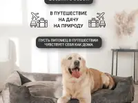 Лежанка для собак Не пропустите!, фотография 6