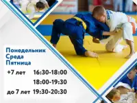 Объявляется набор в секцию Дзюдо