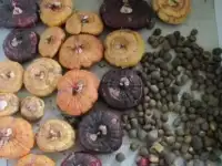 Цветы