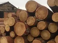 Продам лес круглый пиловочник