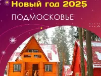 Новый год в Подмосковье 2025